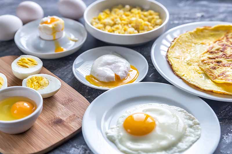Egg Poachers & Egg Rings