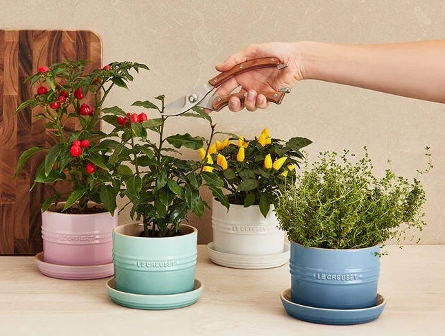 Very Special Gift Ideas