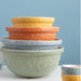 Mason Cash Mixing Bowl 21CM/8.25" Home to Roost Yellow 1.1L - Bear Country Kitchen