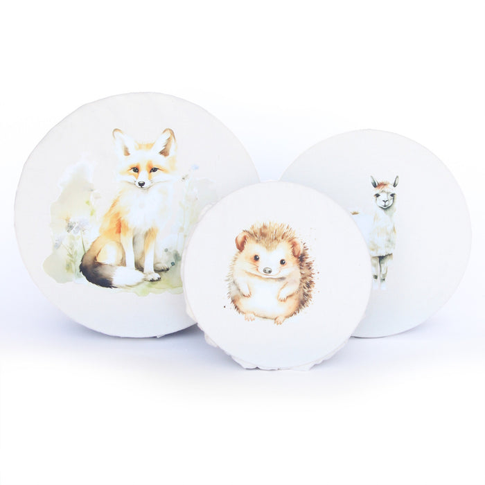 Colibri Bowl Cover Set Of 3 - Bear Country Kitchen