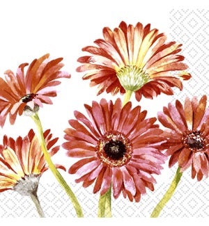 Paper Design Luncheon Napkin - Gerbera Art - Bear Country Kitchen