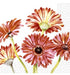 Paper Design Luncheon Napkin - Gerbera Art - Bear Country Kitchen