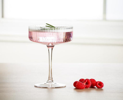 Abbott Tight Optic Cocktail Coupe - Bear Country Kitchen