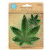 R&M Cookie Cutter Set Of 2 Hemp Leaves - Bear Country Kitchen