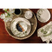 Danica Now Designs Napkins Set Of 4 Fern & Frond - Bear Country Kitchen