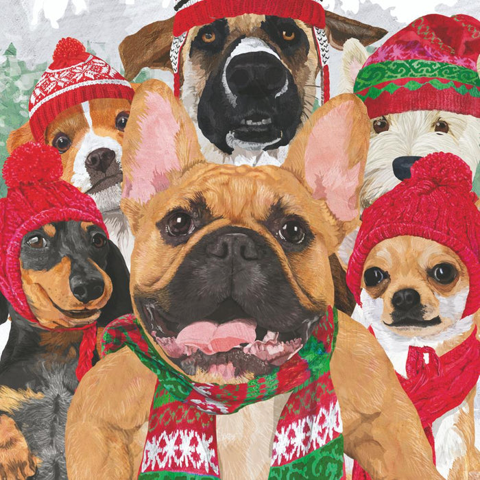 PPD New Bone China Mug In Giftbox Dog Usie - Bear Country Kitchen