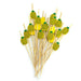 Danesco Fruit Party Picks Set Of 20 - Bear Country Kitchen