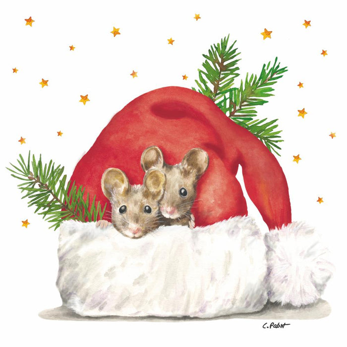 PPD New Bone China Mug In Giftbox Get Cozy (Mouse) - Bear Country Kitchen