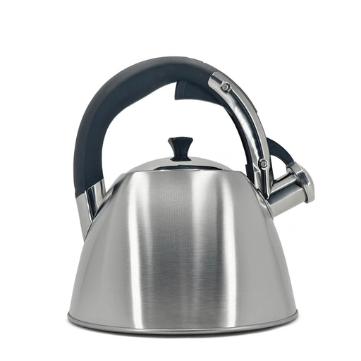Danesco Stainless Steel Stovetop Kettle 2.9L - Bear Country Kitchen