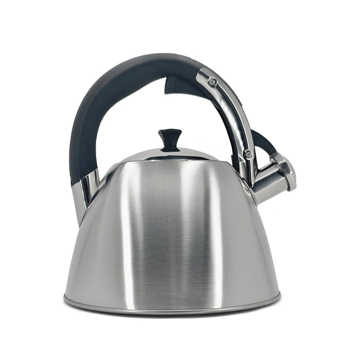 Danesco Stainless Steel Stovetop Kettle 2.9L - Bear Country Kitchen