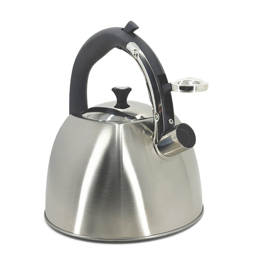 Danesco Stainless Steel Stovetop Kettle 2.9L - Bear Country Kitchen