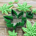 R&M Cookie Cutter Set Of 2 Hemp Leaves - Bear Country Kitchen