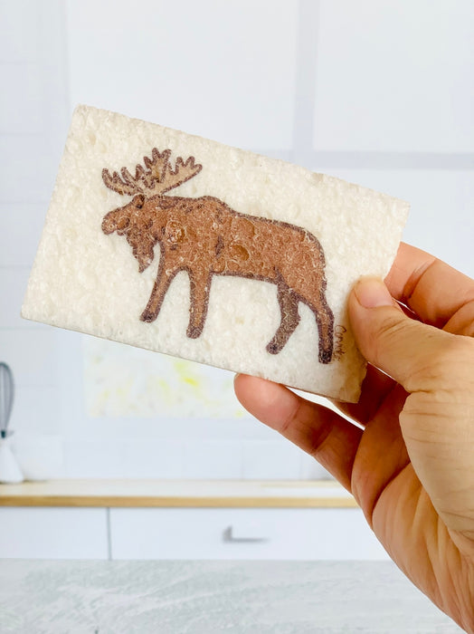 Corvidae Compostable Pop Up Sponges Set of 3 - Bear Country Kitchen