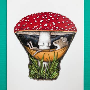 Abundance Illustration Cards - Bear Country Kitchen