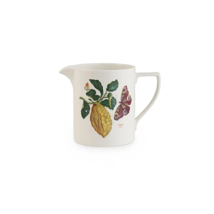 Botanic Garden Harmony Jug Citron Butterfly 2 pint