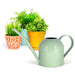 Natural Living Watering Can Sage 450ML - Bear Country Kitchen