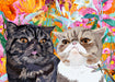 Incognito Card Crumpy Cats - Bear Country Kitchen