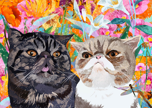 Incognito Card Crumpy Cats - Bear Country Kitchen