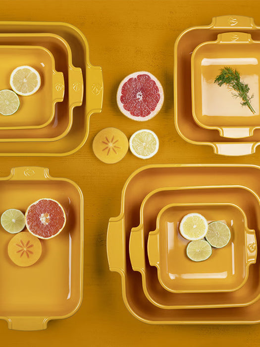 Peugeot Appolia Rectangular Roaster 40CM Saffron Yellow - Bear Country Kitchen