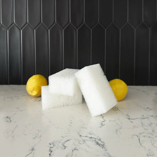 Universal Stone Sponge Set Of 3 - Bear Country Kitchen
