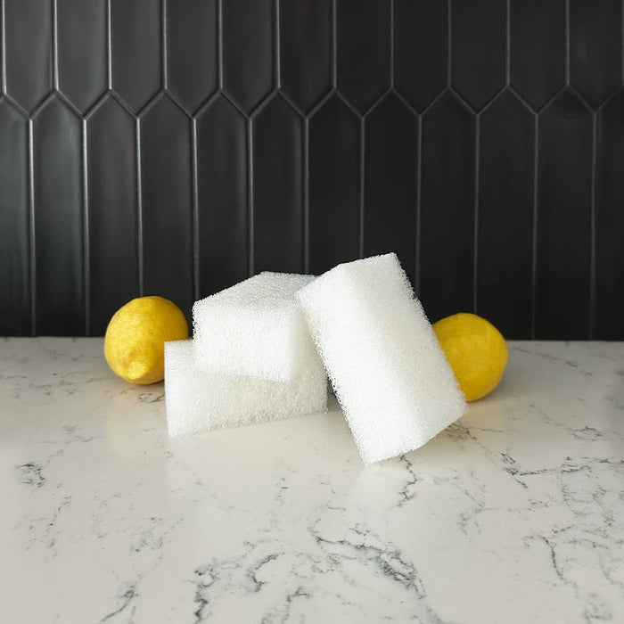 Universal Stone Sponge Set Of 3 - Bear Country Kitchen