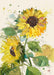 Bug Art Card Sunflowers - Bear Country Kitchen