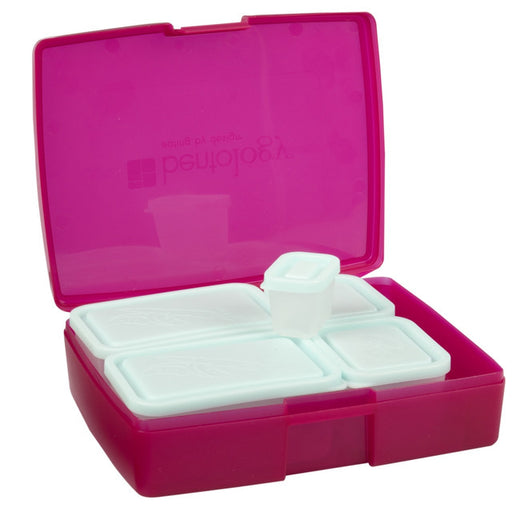 Bentology Bento Box 6 Piece - Raspberry/ Blue - Bear Country Kitchen