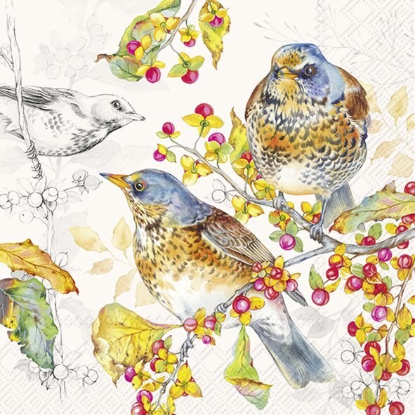 Ideal Home Range Cocktail Napkin Autumn Birds