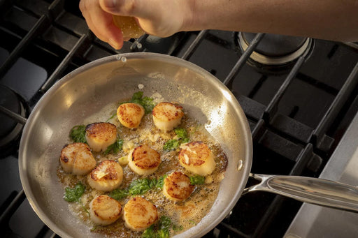 Meyer Confederation 20CM Fry Pan - Bear Country Kitchen