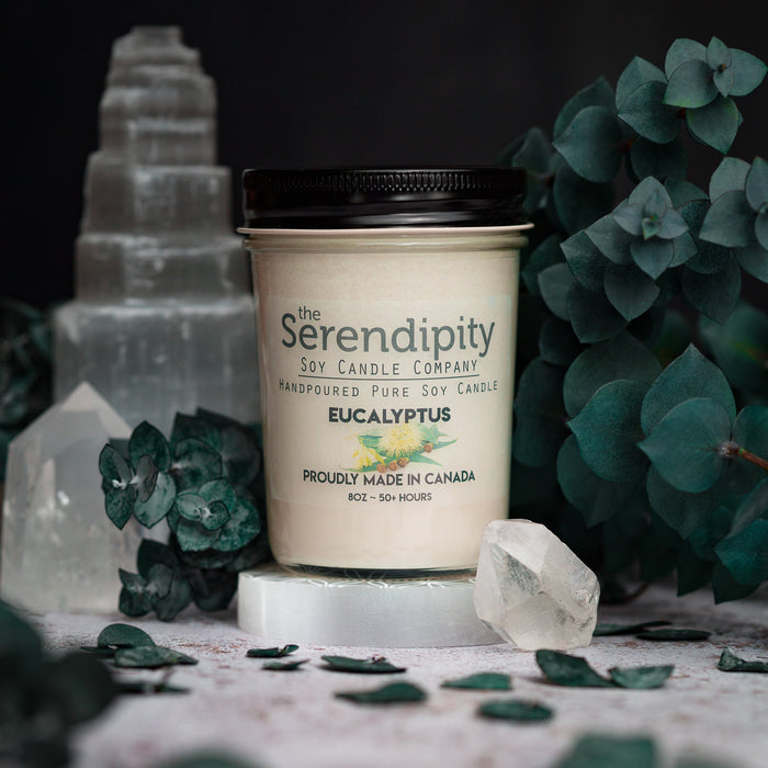 The Serendipity Soy Candle Company 8 Oz Mason Jar Candle Eucalyptus - Bear Country Kitchen