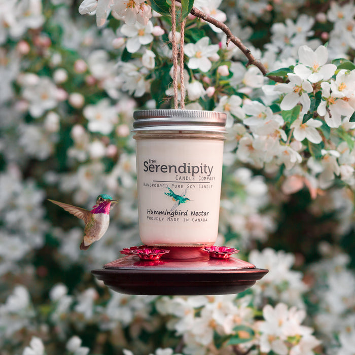 The Serendipity Soy Candle Company 8 Oz Mason Jar Candle Hummingbird Nectar - Bear Country Kitchen