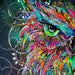 Incognito Card Owl - Bear Country Kitchen