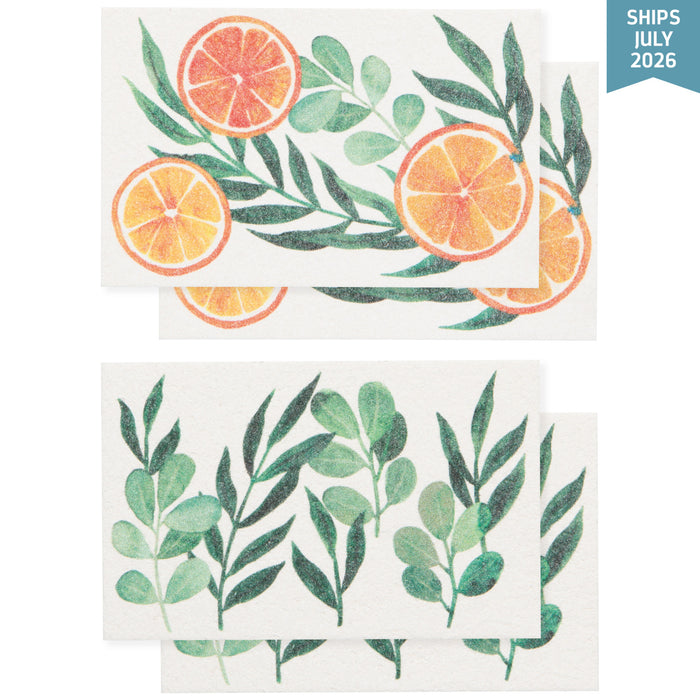 Danica Now Designs Pop Up Sponges Set of 4 Cedar & Citrus