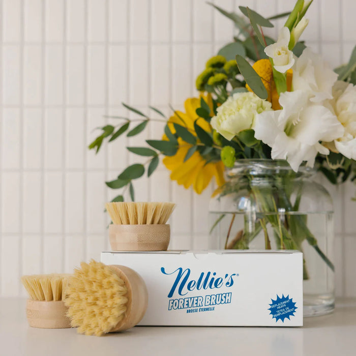 Nellie's Forever Brush Replacement Heads 3 Pack