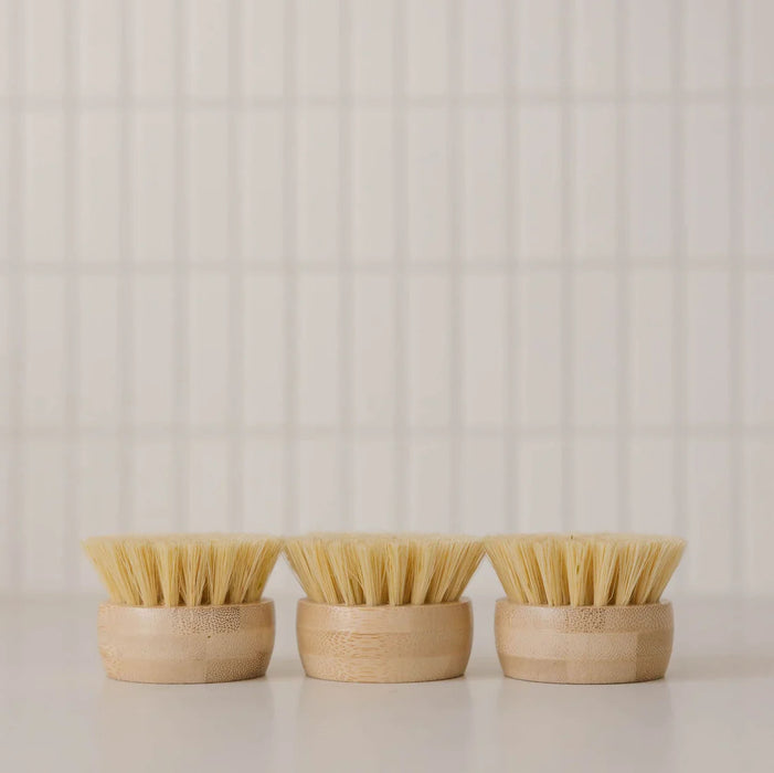 Nellie's Forever Brush Replacement Heads 3 Pack