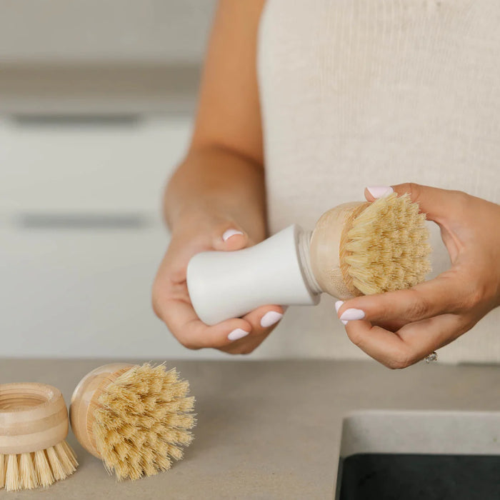 Nellie's Forever Brush Replacement Heads 3 Pack