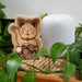 Kikkerland Lucky Cat Money Bank - Bear Country Kitchen