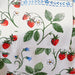 Ulster Weavers Cotton Apron Strawberry Patch - Bear Country Kitchen