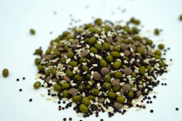 Mumm's Sprouting Seeds Salad Bowl Blend - Bear Country Kitchen