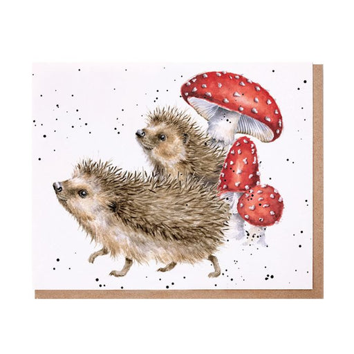 Wrendale Greeting Card A Prickly Adventure (Hedgehog) - Bear Country Kitchen