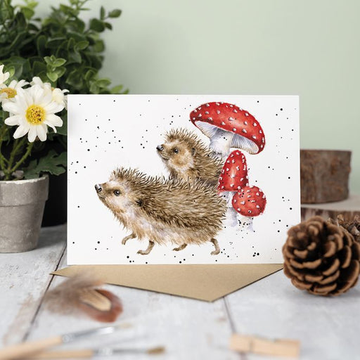 Wrendale Greeting Card A Prickly Adventure (Hedgehog) - Bear Country Kitchen