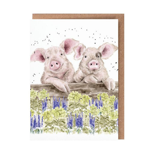 Wrendale Greeting Card Nosy Neigh-Boars - Bear Country Kitchen