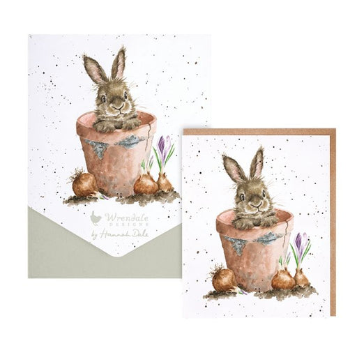 Wrendale Card Pack Of 8 The Flower Pot Rabbit - Bear Country Kitchen