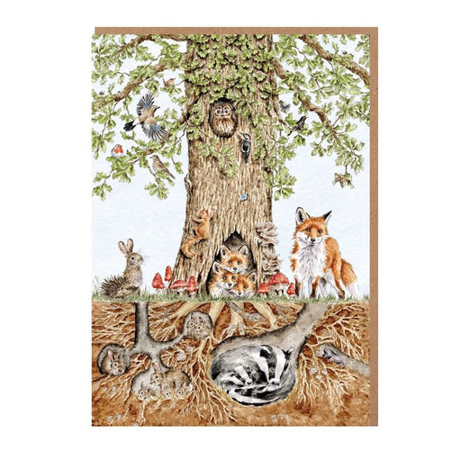Wrendale Card Pack Of 8 Wild Woodland - Bear Country Kitchen