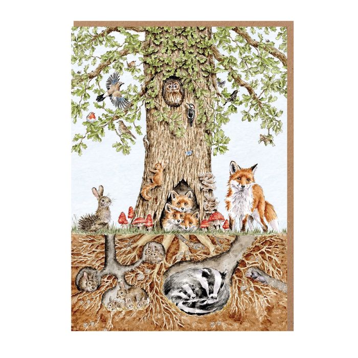 Wrendale Card Pack Of 8 Wild Woodland - Bear Country Kitchen