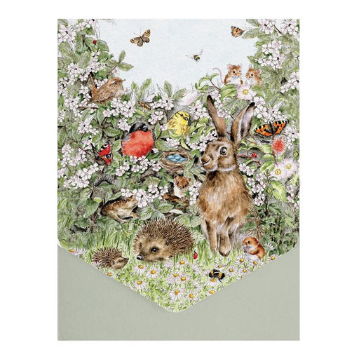 Wrendale Card Pack Of 8 Hidden In The Hedgerow - Bear Country Kitchen