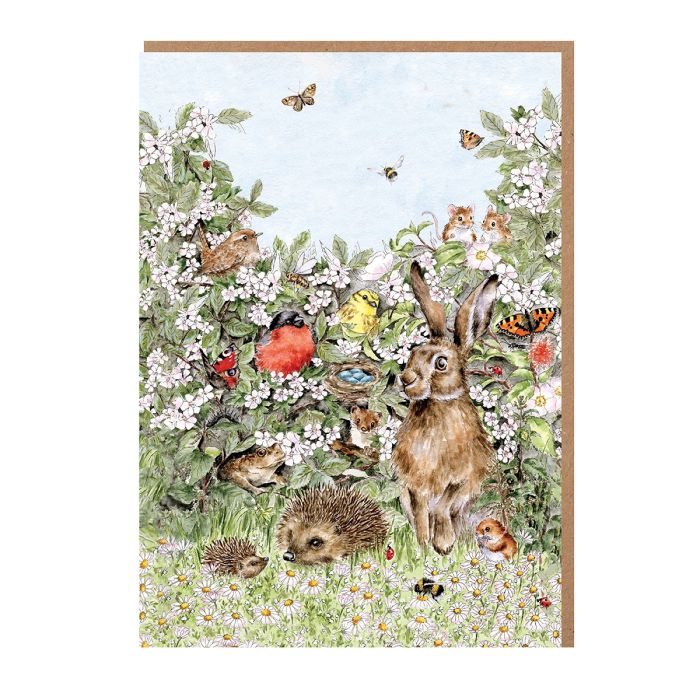 Wrendale Card Pack Of 8 Hidden In The Hedgerow - Bear Country Kitchen