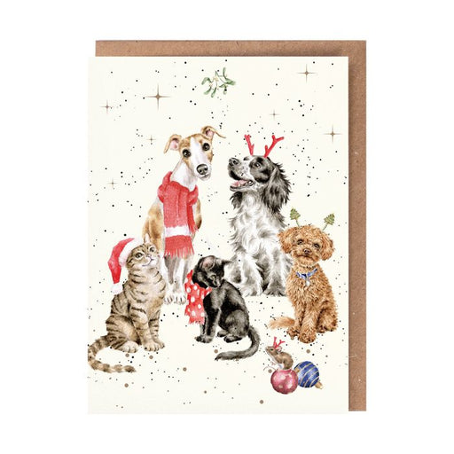 Wrendale Greeting Card The Office Party (Dogs & Cats) - Bear Country Kitchen