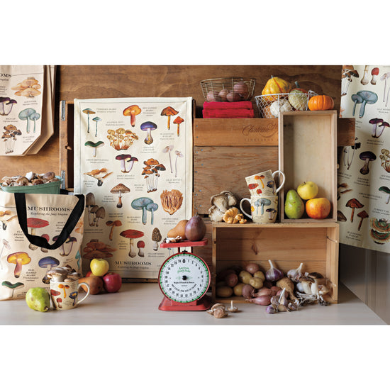 Danica Now Design Fine Print Dishtowel Mushrooms - Bear Country Kitchen