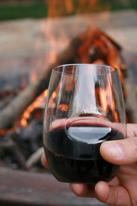 Govino Stemless Wine Glass Dishwasher Safe 16OZ - Bear Country Kitchen